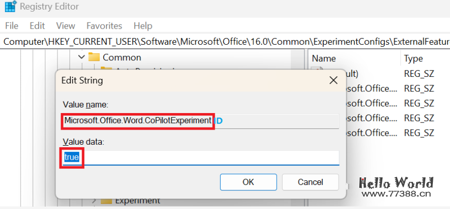 抢先体验微软365的Copilot方法 Microsoft / Office365 Copilot体验